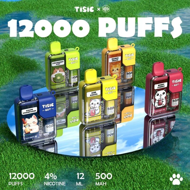 TISIC 貓咪 12000口 一性次主機 現貨拋棄式